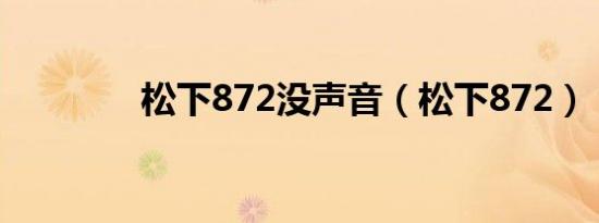 松下872没声音（松下872）