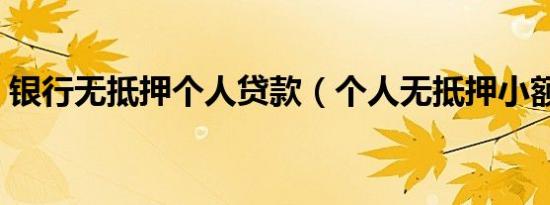银行无抵押个人贷款（个人无抵押小额贷款）