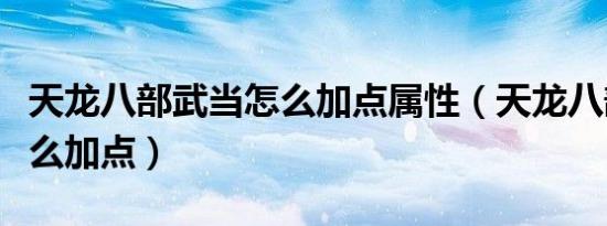 天龙八部武当怎么加点属性（天龙八部武当怎么加点）