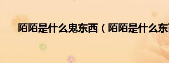 陌陌是什么鬼东西（陌陌是什么东西）