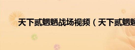 天下贰魍魉战场视频（天下贰魍魉）