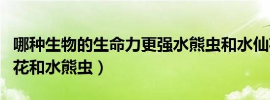 哪种生物的生命力更强水熊虫和水仙花（水仙花和水熊虫）
