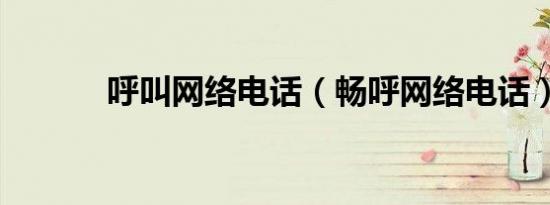 呼叫网络电话（畅呼网络电话）