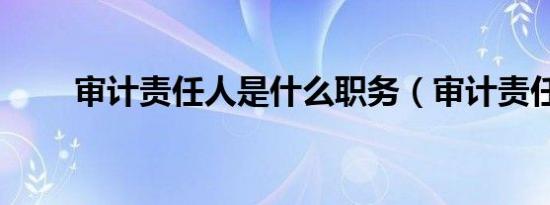 审计责任人是什么职务（审计责任）