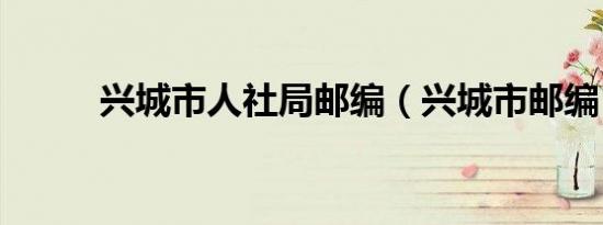兴城市人社局邮编（兴城市邮编）