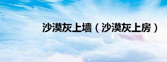 沙漠灰上墙（沙漠灰上房）