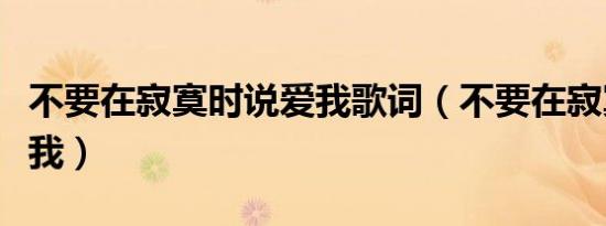 不要在寂寞时说爱我歌词（不要在寂寞时说爱我）