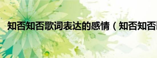 知否知否歌词表达的感情（知否知否歌词）