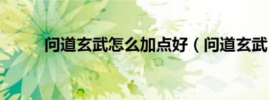 问道玄武怎么加点好（问道玄武）