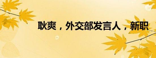 耿爽，外交部发言人，新职