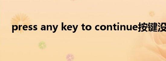 press any key to continue按键没反应