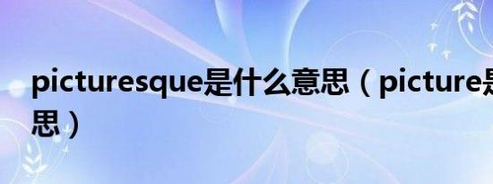 picturesque是什么意思（picture是什么意思）