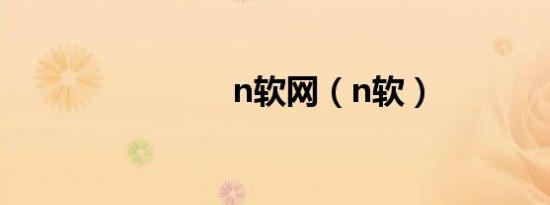 n软网（n软）