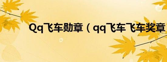 qq飞车勋章（qq飞车飞车奖章）