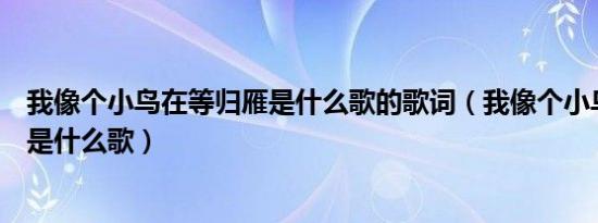 我像个小鸟在等归雁是什么歌的歌词（我像个小鸟在等归雁是什么歌）