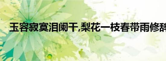 玉容寂寞泪阑干,梨花一枝春带雨修辞手法