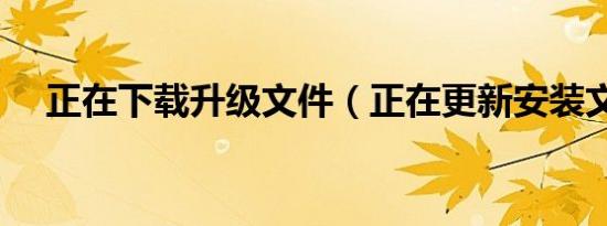 正在下载升级文件（正在更新安装文件）