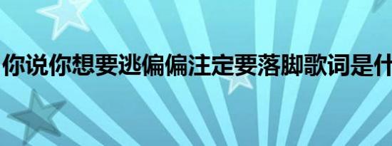 你说你想要逃偏偏注定要落脚歌词是什么意思