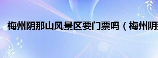 向前走向后走是什么歌（向前走向爱走主题曲）