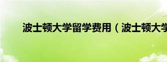波士顿大学留学费用（波士顿大学）