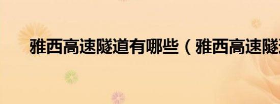 雅西高速隧道有哪些（雅西高速隧道）