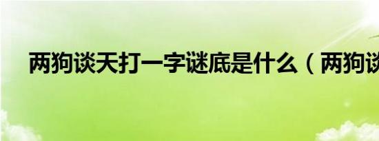 两狗谈天打一字谜底是什么（两狗谈天）