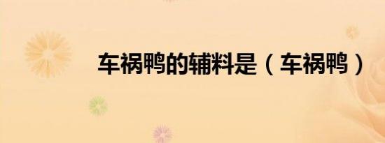 车祸鸭的辅料是（车祸鸭）