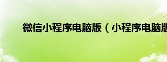 微信小程序电脑版（小程序电脑版）