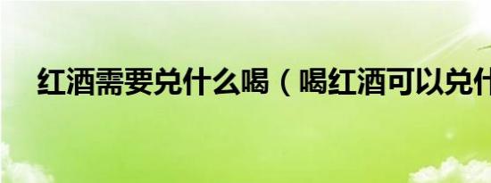 红酒需要兑什么喝（喝红酒可以兑什么）