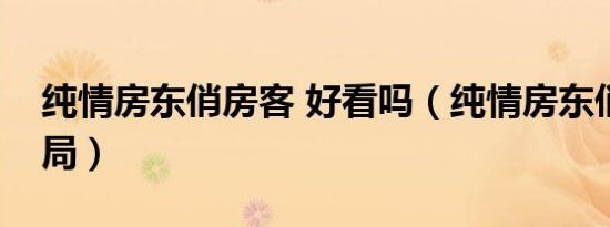 纯情房东俏房客 好看吗（纯情房东俏房客结局）