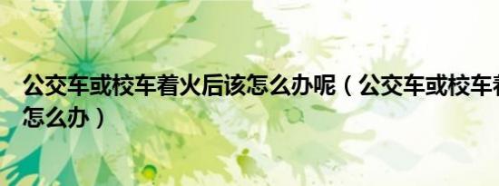 公交车或校车着火后该怎么办呢（公交车或校车着火后应该怎么办）