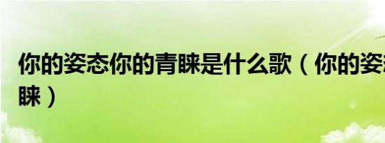 你的姿态你的青睐是什么歌（你的姿态你的青睐）