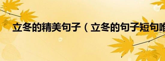 立冬的精美句子（立冬的句子短句唯美）