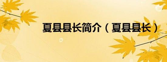 夏县县长简介（夏县县长）
