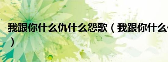 我跟你什么仇什么怨歌（我跟你什么仇什么怨）