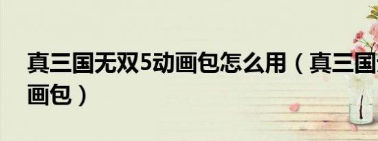 真三国无双5动画包怎么用（真三国无双5动画包）