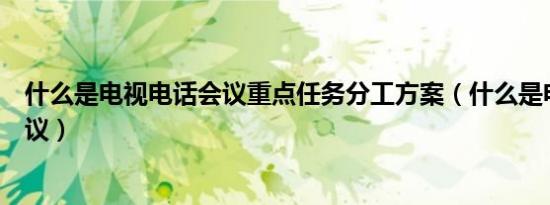 什么是电视电话会议重点任务分工方案（什么是电视电话会议）