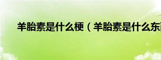 羊胎素是什么梗（羊胎素是什么东西）