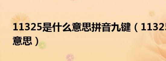 11325是什么意思拼音九键（11325是什么意思）