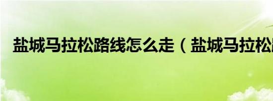 盐城马拉松路线怎么走（盐城马拉松路线）