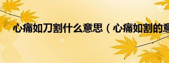心痛如刀割什么意思（心痛如割的意思）