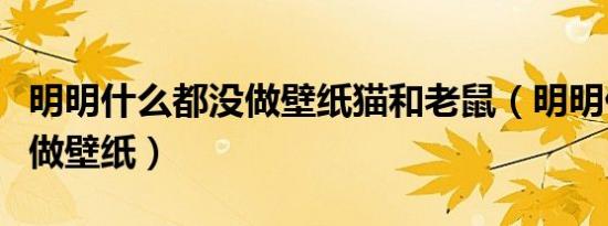明明什么都没做壁纸猫和老鼠（明明什么都没做壁纸）