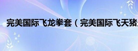 完美国际飞龙拳套（完美国际飞天猪坐标）