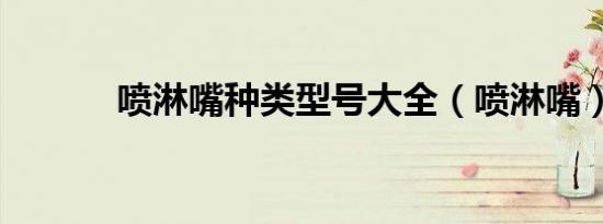 喷淋嘴种类型号大全（喷淋嘴）