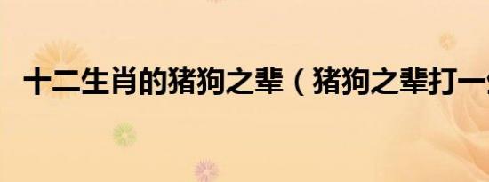 十二生肖的猪狗之辈（猪狗之辈打一生肖）