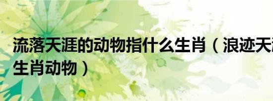 流落天涯的动物指什么生肖（浪迹天涯是什么生肖动物）