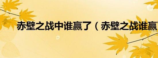 赤壁之战中谁赢了（赤壁之战谁赢了）