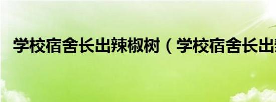 学校宿舍长出辣椒树（学校宿舍长出辣椒）